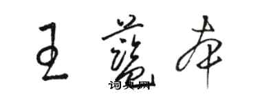骆恒光王蓝本草书个性签名怎么写