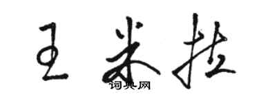 骆恒光王米拉草书个性签名怎么写
