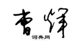 朱锡荣曹辉草书个性签名怎么写