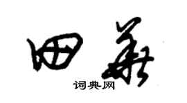 朱锡荣田华草书个性签名怎么写