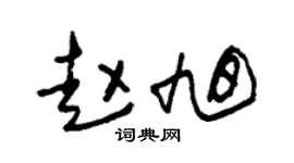 朱锡荣赵旭草书个性签名怎么写