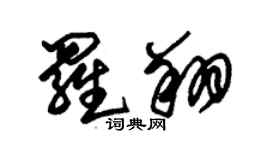 朱锡荣罗翔草书个性签名怎么写