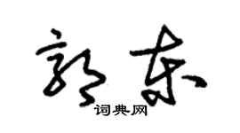 朱锡荣郭东草书个性签名怎么写