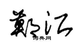 朱锡荣郑江草书个性签名怎么写