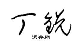 朱锡荣丁锐草书个性签名怎么写
