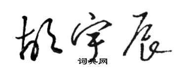 骆恒光胡宇辰草书个性签名怎么写