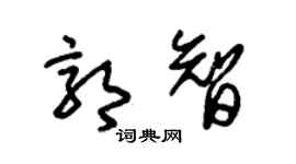 朱锡荣郭智草书个性签名怎么写