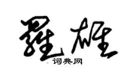 朱锡荣罗雄草书个性签名怎么写