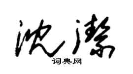 朱锡荣沈洁草书个性签名怎么写
