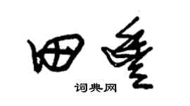 朱锡荣田丰草书个性签名怎么写