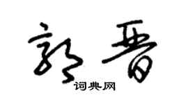 朱锡荣郭晋草书个性签名怎么写
