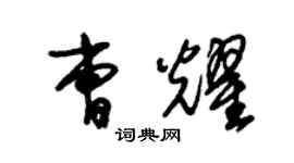 朱锡荣曹耀草书个性签名怎么写