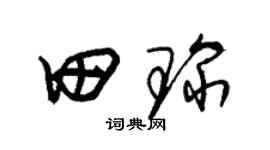 朱锡荣田琛草书个性签名怎么写