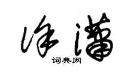朱锡荣徐潇草书个性签名怎么写