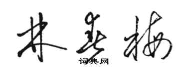 骆恒光林春梅草书个性签名怎么写