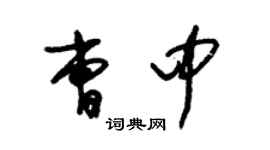 朱锡荣曹中草书个性签名怎么写