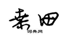 朱锡荣桑田草书个性签名怎么写