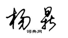 朱锡荣杨鼎草书个性签名怎么写