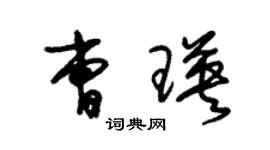 朱锡荣曹瑛草书个性签名怎么写