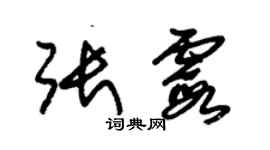 朱锡荣张霞草书个性签名怎么写