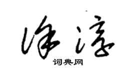 朱锡荣徐淳草书个性签名怎么写