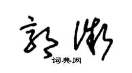 朱锡荣郭微草书个性签名怎么写