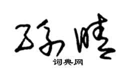 朱锡荣孙晴草书个性签名怎么写