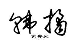 朱锡荣韩桔草书个性签名怎么写