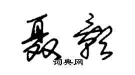 朱锡荣聂影草书个性签名怎么写