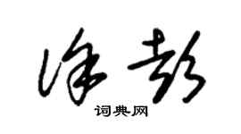 朱锡荣徐彭草书个性签名怎么写