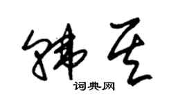 朱锡荣韩其草书个性签名怎么写