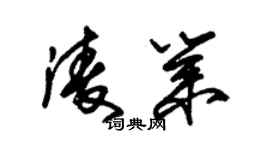 朱锡荣凌业草书个性签名怎么写