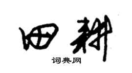 朱锡荣田耕草书个性签名怎么写