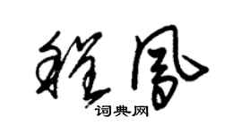 朱锡荣程凤草书个性签名怎么写