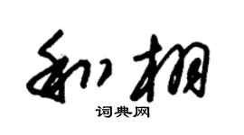 朱锡荣和栩草书个性签名怎么写