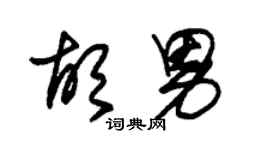 朱锡荣胡男草书个性签名怎么写