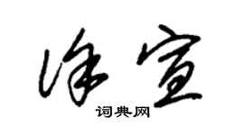 朱锡荣徐宣草书个性签名怎么写