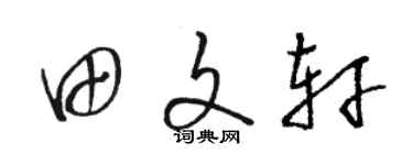 骆恒光田文轩草书个性签名怎么写