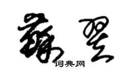 朱锡荣苏翌草书个性签名怎么写