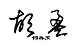 朱锡荣胡盈草书个性签名怎么写