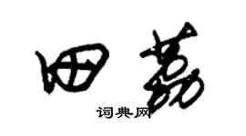 朱锡荣田荔草书个性签名怎么写