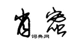 朱锡荣肖蜜草书个性签名怎么写