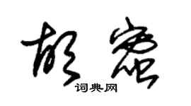 朱锡荣胡蜜草书个性签名怎么写
