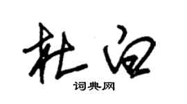 朱锡荣杜白草书个性签名怎么写