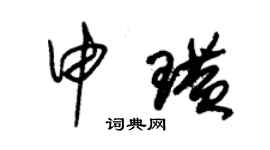 朱锡荣申璜草书个性签名怎么写