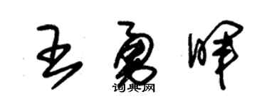 朱锡荣王勇晖草书个性签名怎么写