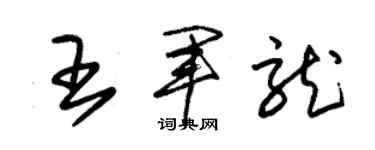 朱锡荣王军龙草书个性签名怎么写