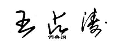 朱锡荣王占涛草书个性签名怎么写