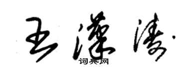 朱锡荣王汉涛草书个性签名怎么写
