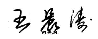朱锡荣王晨涛草书个性签名怎么写